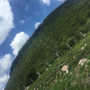 Meet your Posher, Jerry